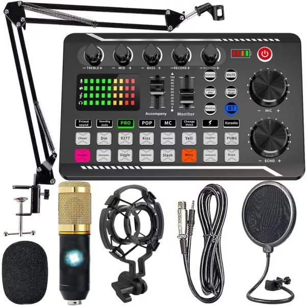 Portable USB-C On-Site Sound Card with DJ Mixing Effects & Voice Changer - 1200mAh Rechargeable Battery, Volume Control, Pop Filter & Windscreen for Live Streaming, Podcasting, Gaming, Karaoke, Studio Recording