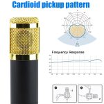 Portable USB-C On-Site Sound Card with DJ Mixing Effects & Voice Changer - 1200mAh Rechargeable Battery, Volume Control, Pop Filter & Windscreen for Live Streaming, Podcasting, Gaming, Karaoke, Studio Recording - Image 8