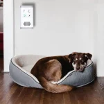 Mini Ozone & Anion Air Purifier 2 in 1 Plug in, Compact Size, Purifying Air Eliminate Odor for House Bedroom Bathroom Kitchen - Image 6